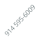 914 595-6009